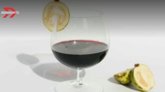 Calvillo, el Pueblo Mágico de Aguascalientes que conquista con vino, guayaba y queso artesanal