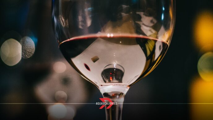 Vinicola Aguascalientes