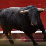 Corrida de la insurgencia 2025