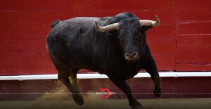 Corrida de la insurgencia 2025