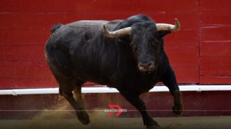 Corrida de la insurgencia 2025