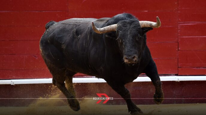 Corrida de la insurgencia 2025