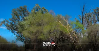 ¿Qué es La Pona, área natural por la que activistas pidieron auxilio a Sheinbaum?