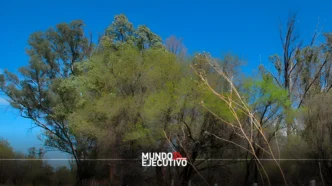 ¿Qué es La Pona, área natural por la que activistas pidieron auxilio a Sheinbaum?