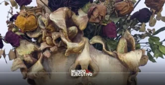 BADA abre su convocatoria 2026 para jóvenes artistas