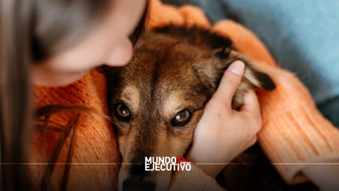 Pese a legislación, continúa impune el maltrato animal en Aguascalientes